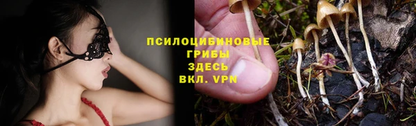 PSILOCYBIN Абаза